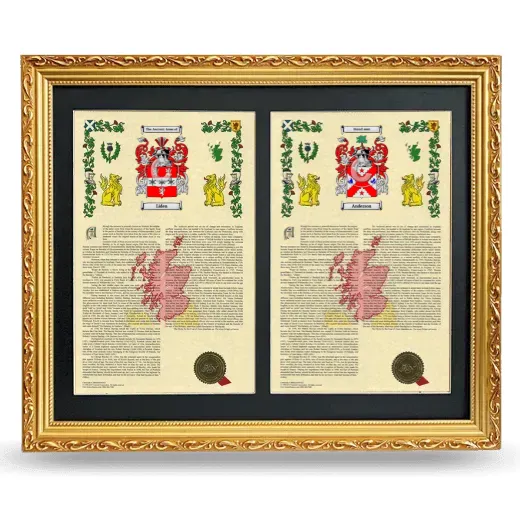 Double Armorial History Framed - Gold