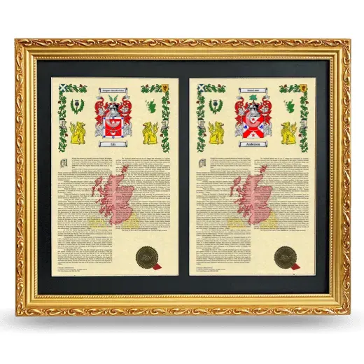 Double Armorial History Framed - Gold