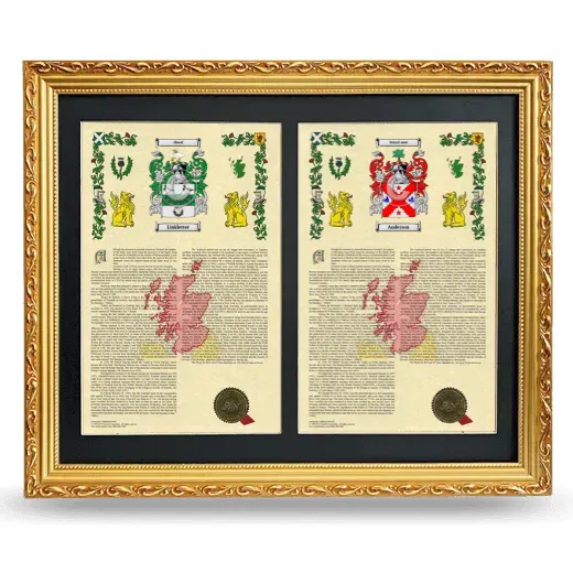 Double Armorial History Framed - Gold