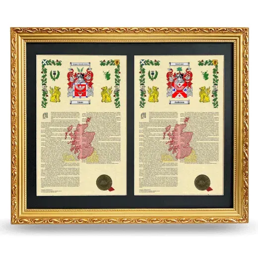 Double Armorial History Framed - Gold
