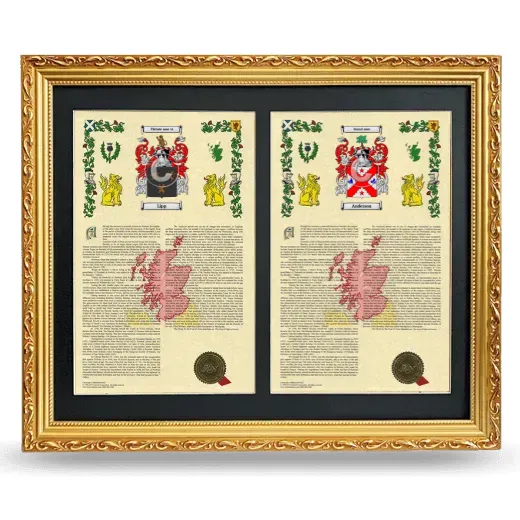 Double Armorial History Framed - Gold