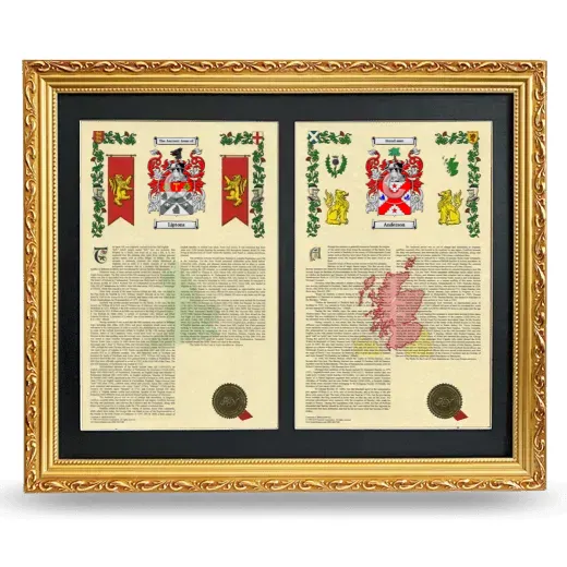 Double Armorial History Framed - Gold