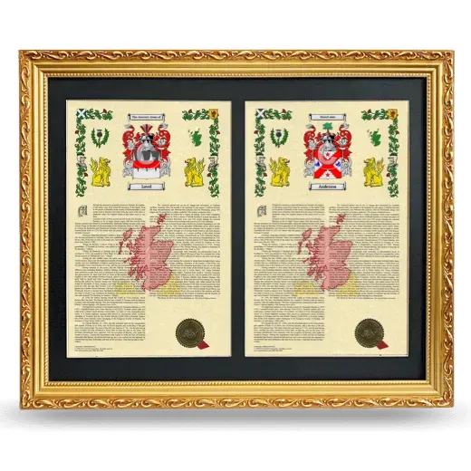 Double Armorial History Framed - Gold