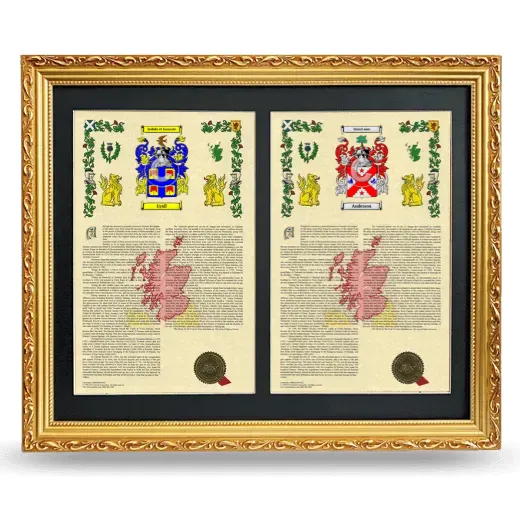 Double Armorial History Framed - Gold