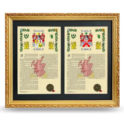 Double Armorial History Framed - Gold