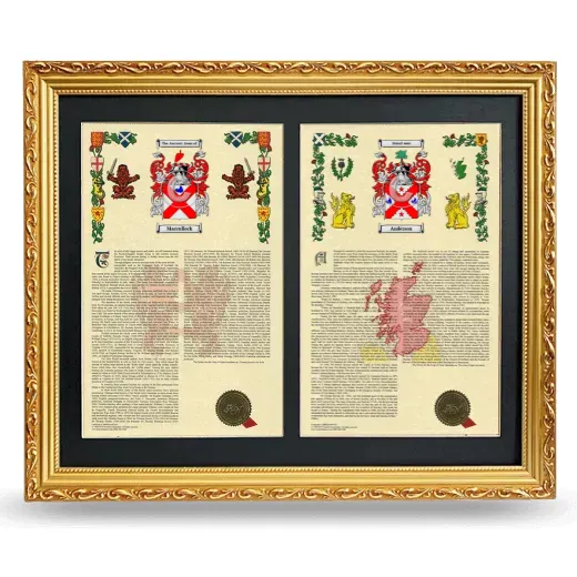 Double Armorial History Framed - Gold