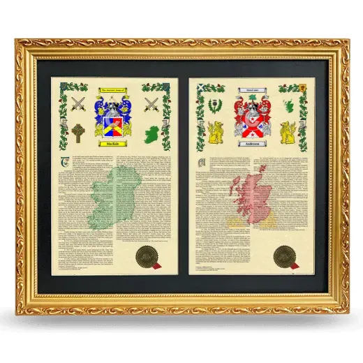 Double Armorial History Framed - Gold