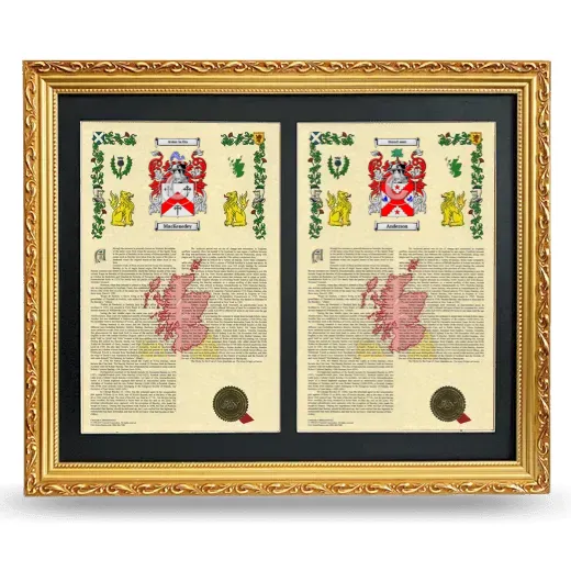 Double Armorial History Framed - Gold