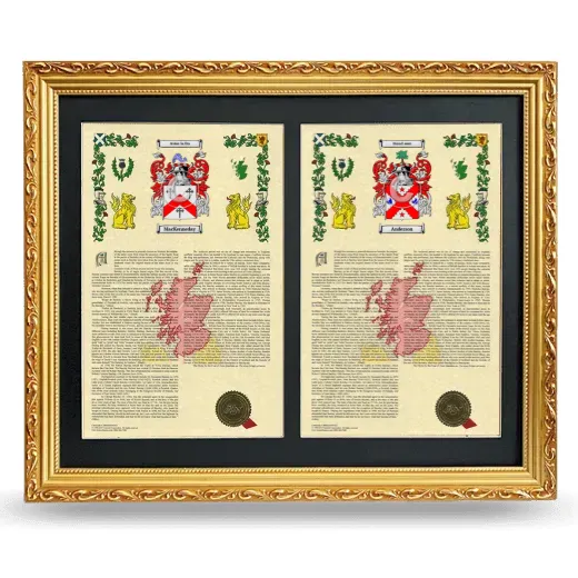 Double Armorial History Framed - Gold