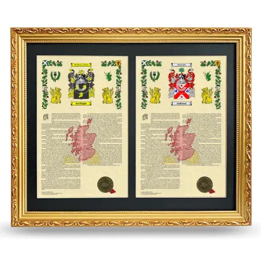 Double Armorial History Framed - Gold