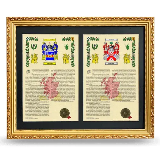 Double Armorial History Framed - Gold