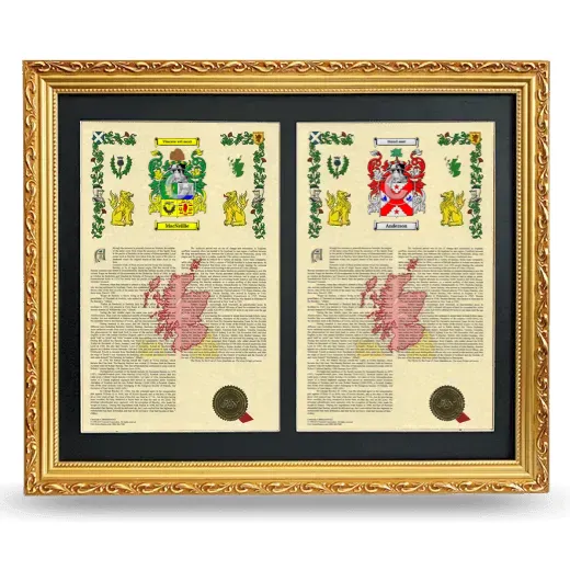 Double Armorial History Framed - Gold