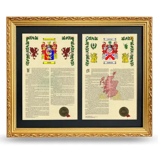 Double Armorial History Framed - Gold