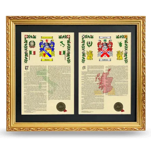Double Armorial History Framed - Gold
