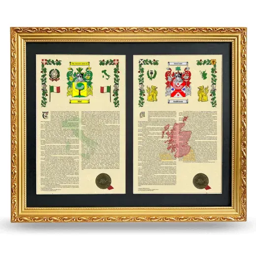 Double Armorial History Framed - Gold