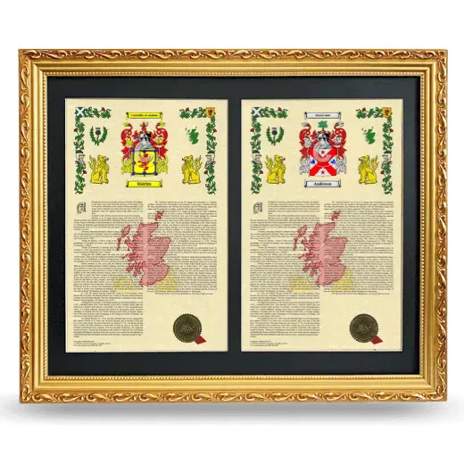 Double Armorial History Framed - Gold