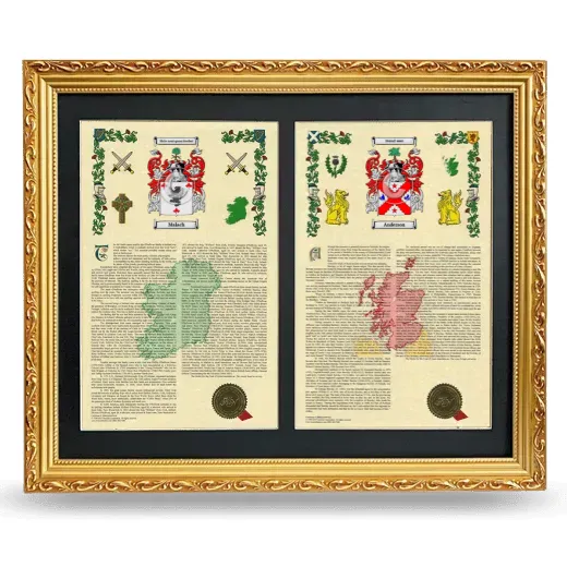 Double Armorial History Framed - Gold