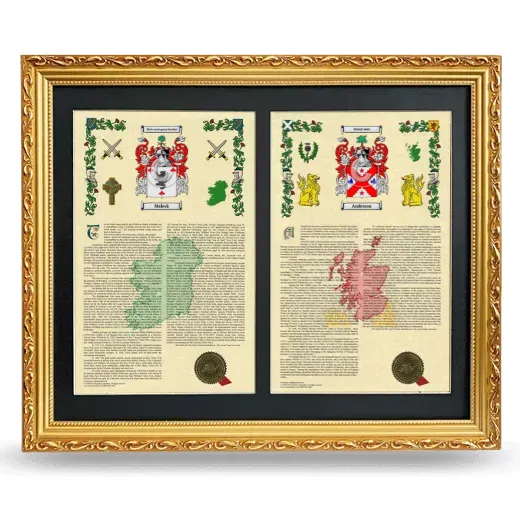 Double Armorial History Framed - Gold