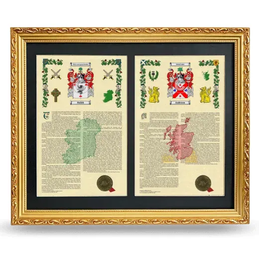 Double Armorial History Framed - Gold