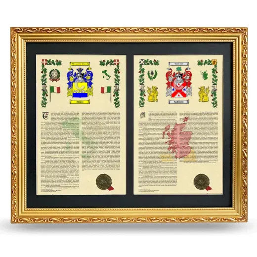 Double Armorial History Framed - Gold