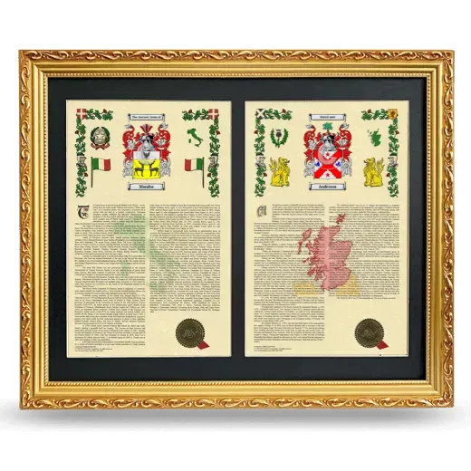 Double Armorial History Framed - Gold