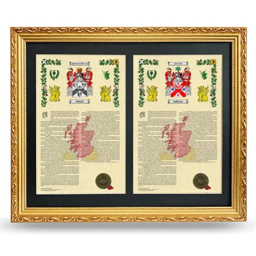 Double Armorial History Framed - Gold