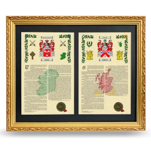 Double Armorial History Framed - Gold