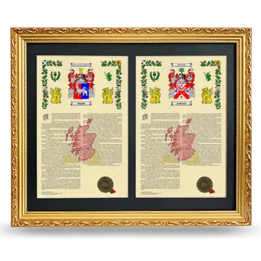 Double Armorial History Framed - Gold