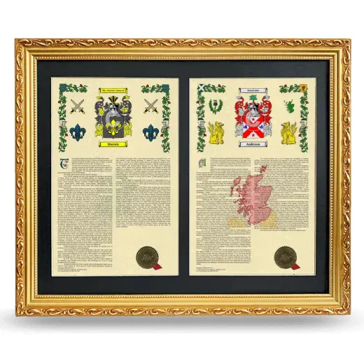 Double Armorial History Framed - Gold