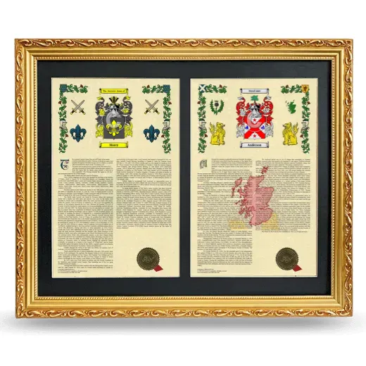 Double Armorial History Framed - Gold