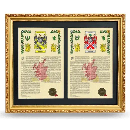 Double Armorial History Framed - Gold