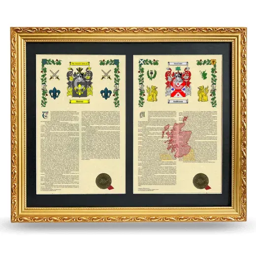 Double Armorial History Framed - Gold