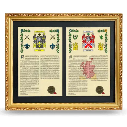 Double Armorial History Framed - Gold