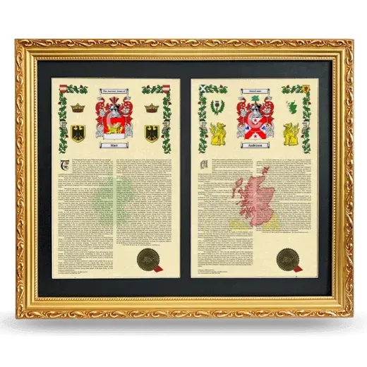 Double Armorial History Framed - Gold