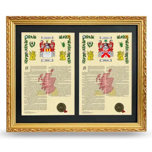Double Armorial History Framed - Gold