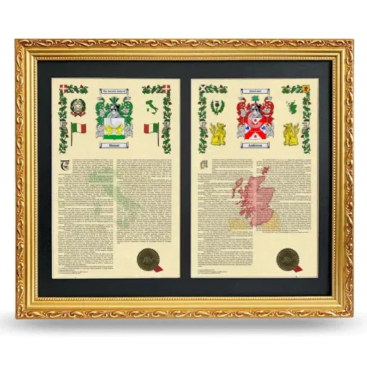 Double Armorial History Framed - Gold