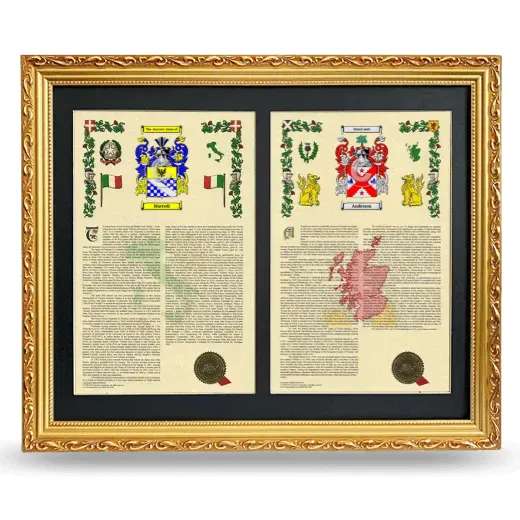 Double Armorial History Framed - Gold