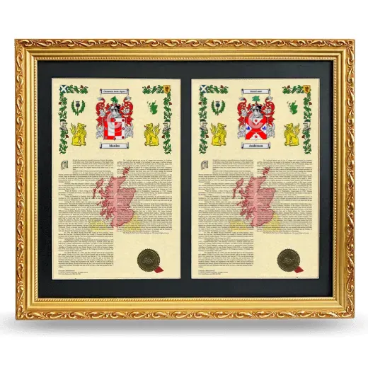 Double Armorial History Framed - Gold