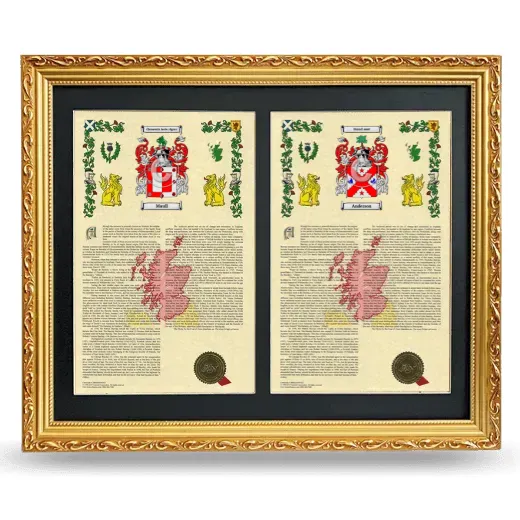 Double Armorial History Framed - Gold
