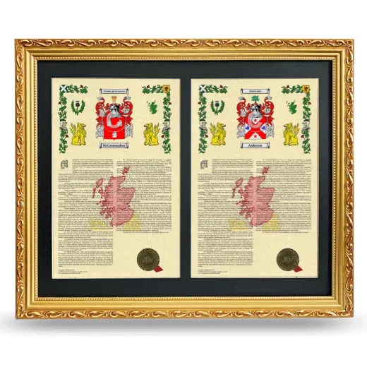 Double Armorial History Framed - Gold
