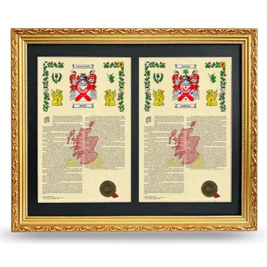 Double Armorial History Framed - Gold