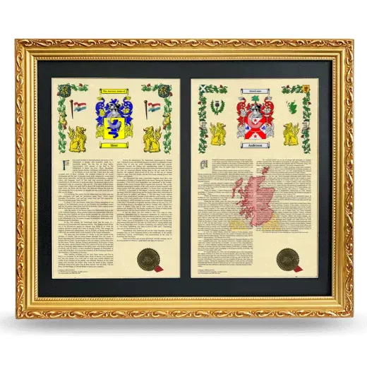 Double Armorial History Framed - Gold