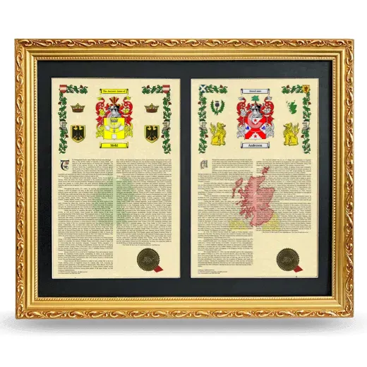 Double Armorial History Framed - Gold