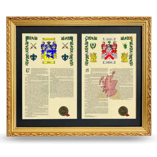 Double Armorial History Framed - Gold