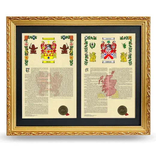 Double Armorial History Framed - Gold