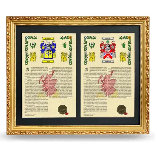 Double Armorial History Framed - Gold