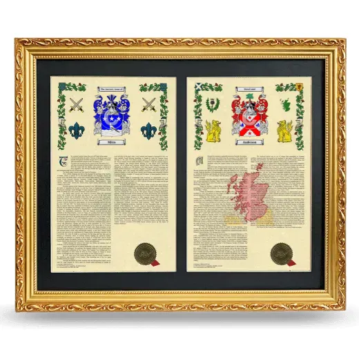 Double Armorial History Framed - Gold