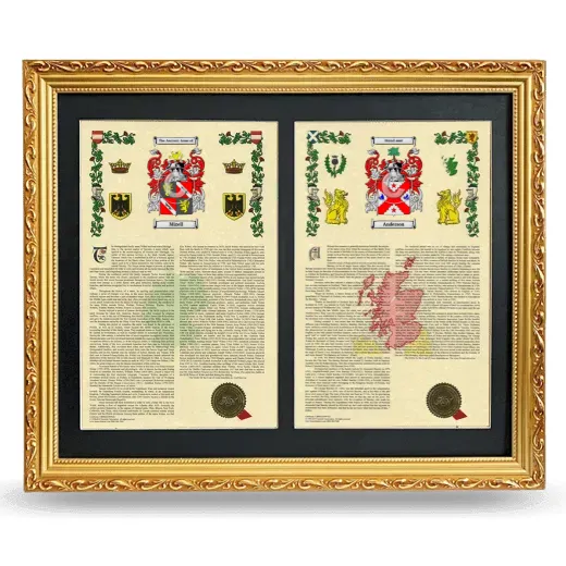 Double Armorial History Framed - Gold