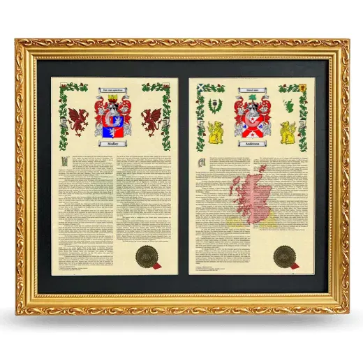 Double Armorial History Framed - Gold