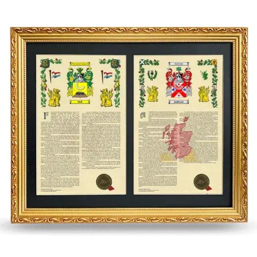 Double Armorial History Framed - Gold